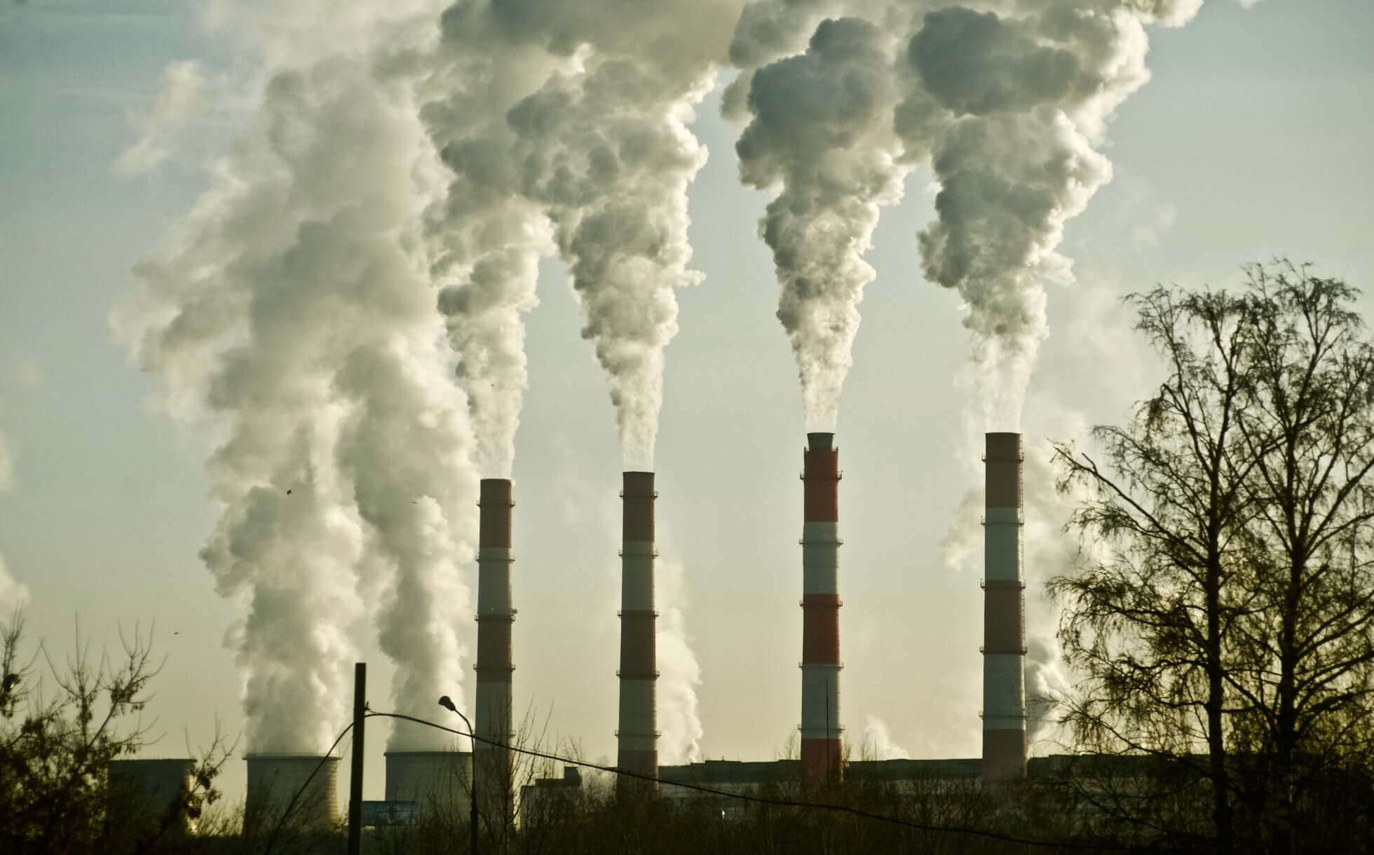Environment Consulting Sydney 01 1960px